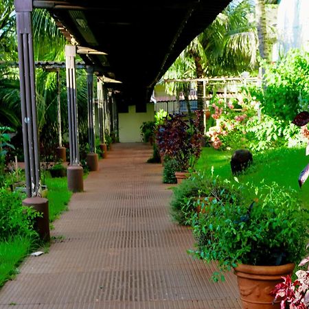 Velinn Hotel Natureza Foz Foz do Iguacu Bagian luar foto
