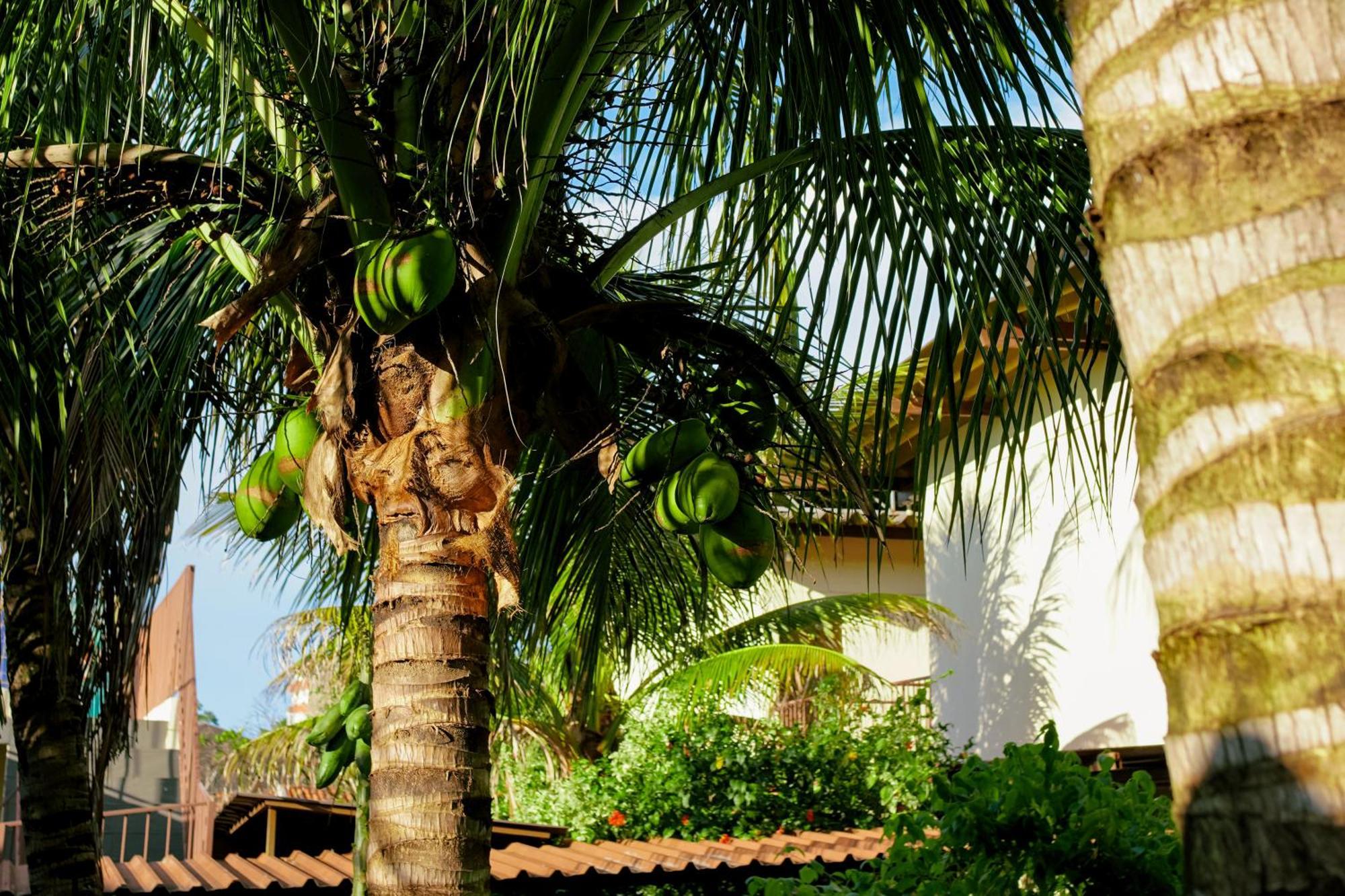 Velinn Hotel Natureza Foz Foz do Iguacu Bagian luar foto