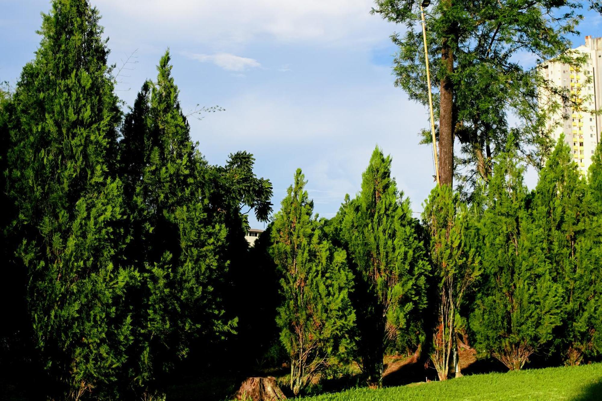 Velinn Hotel Natureza Foz Foz do Iguacu Bagian luar foto